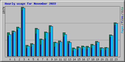 Hourly usage for November 2022